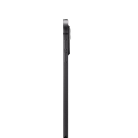 Планшет Apple iPad Pro 13" 1Tb (2024) Wi-Fi + Cellular нанотекстурное стекло «черный космос»